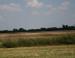 Trees as wind-breakers, farm fields, Oklahoma
