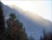 Forest fire, Yosemite National Park, CA