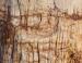 Mineralized wood, Holbrook, Arizona