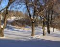 MacDonald Hotel park, Edmonton, Alberta